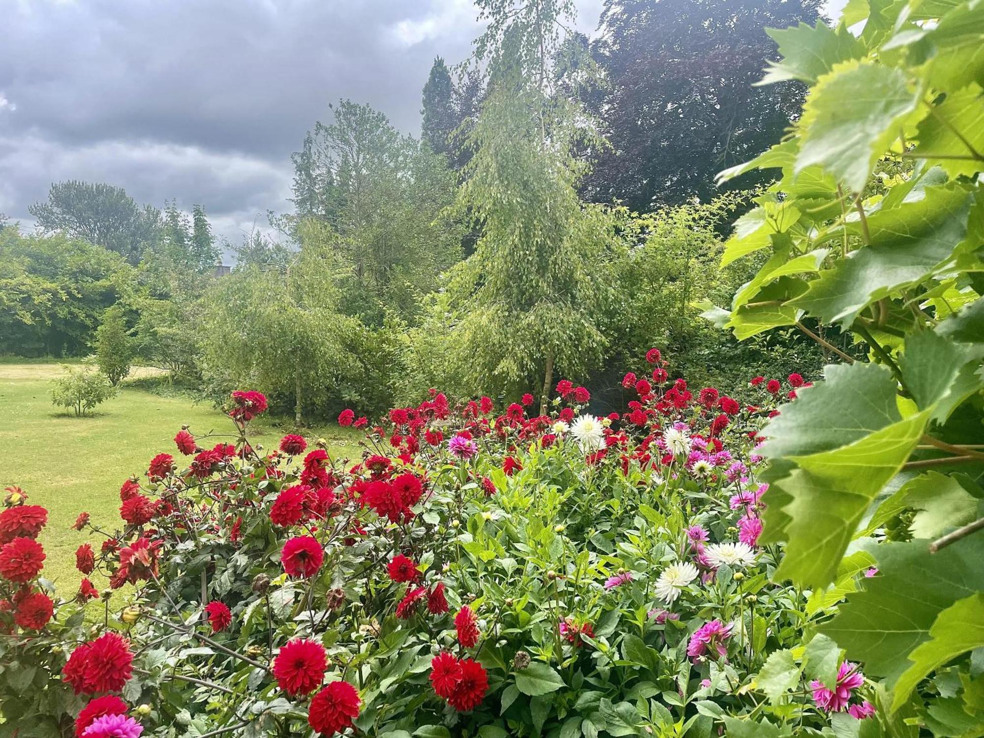 The Mount Somerton Retreat - Nr Bruton, Glastonbury, The Spectacular Wells Cathedral, Millfield School, Leonardo Helicopters, Yeovilton Zewnętrze zdjęcie