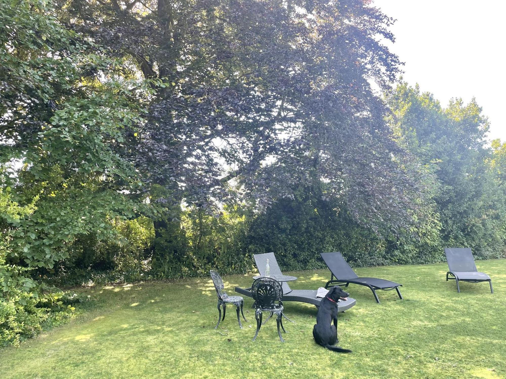 The Mount Somerton Retreat - Nr Bruton, Glastonbury, The Spectacular Wells Cathedral, Millfield School, Leonardo Helicopters, Yeovilton Zewnętrze zdjęcie