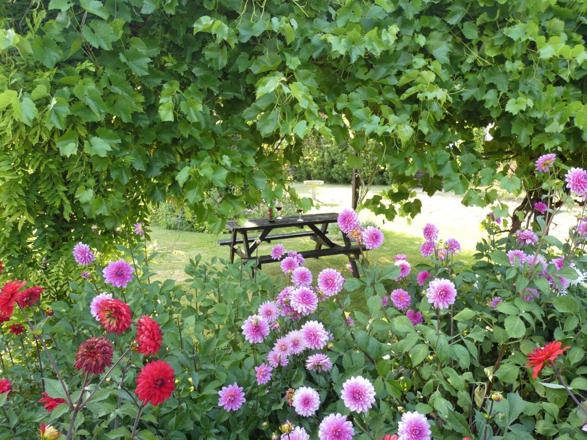 The Mount Somerton Retreat - Nr Bruton, Glastonbury, The Spectacular Wells Cathedral, Millfield School, Leonardo Helicopters, Yeovilton Zewnętrze zdjęcie